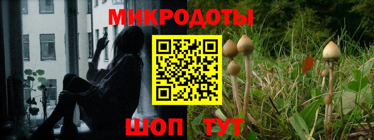 Семёнов  Галлюциногенные грибы мухоморы  Вход с VPN  Галлюциногенные грибы мицелий 